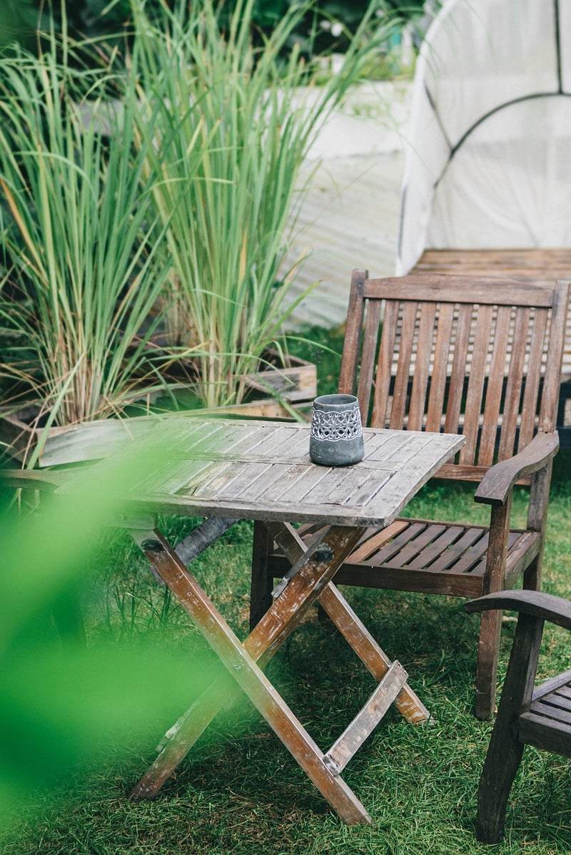 Garden Backyard Landscape